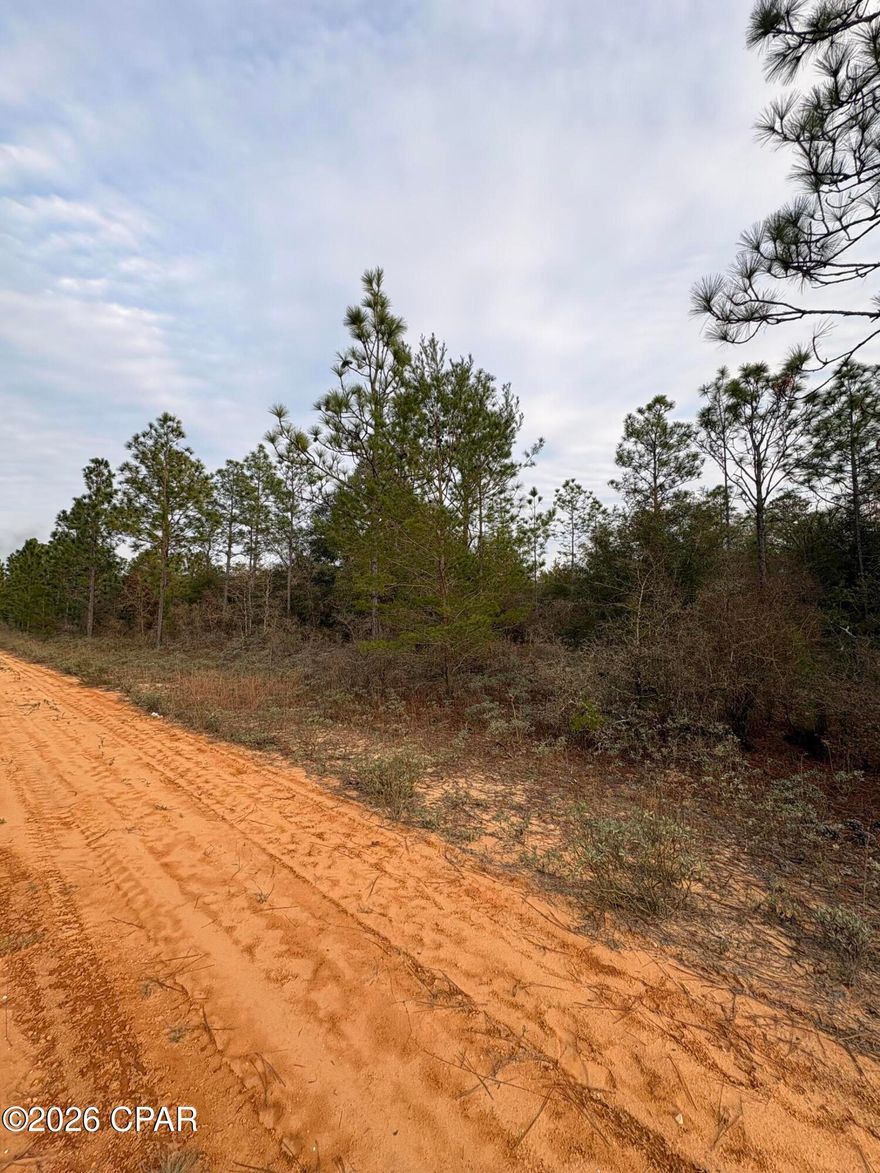 Lot located in the peaceful and scenic Sunny Hills community. For nature lovers and outdoor enthusiasts, Gap Lake has great fishing and is not too far away either, it is an 800+ acre freshwater paradise. Enjoy serene views of majestic cypress trees and experience excellent fishing opportunities right in your neighborhood. Additionally, a county boat ramp on Gap Lake makes for easy access to all your water adventures. Sunny Hills is a growing golf course community with a lot of new construction happening. It's ideally situated just under 30 minutes from both Chipley, Lynn Haven, and the airport- offering the best of both worlds: a slower, laid-back lifestyle while still being close to city amenities. Plus, you're less than an hour away from the white sands of Panama City Beach! Sunny Hills also offers many freshwater lakes for fishing and boating and also a swim park at spring-fed Boat Lake for seasonal fun. This deed-restricted lot is reserved for building only, ensuring a well-maintained community without the burden of HOA fees. Enjoy the tranquility and convenience of life in Sunny Hills! Buyer to do their own due diligence about getting utilities on the property. Seller will pay for the owner's title policy/buyer's closing costs relating to title with acceptable offer.