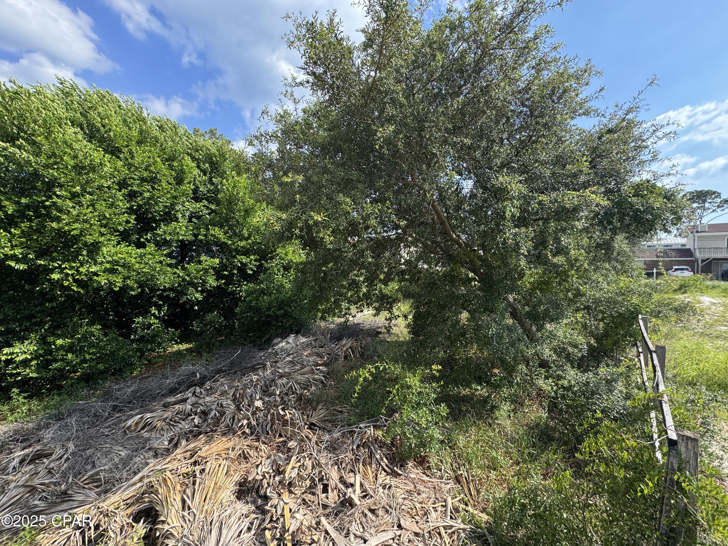 Baltimore Beach - Land