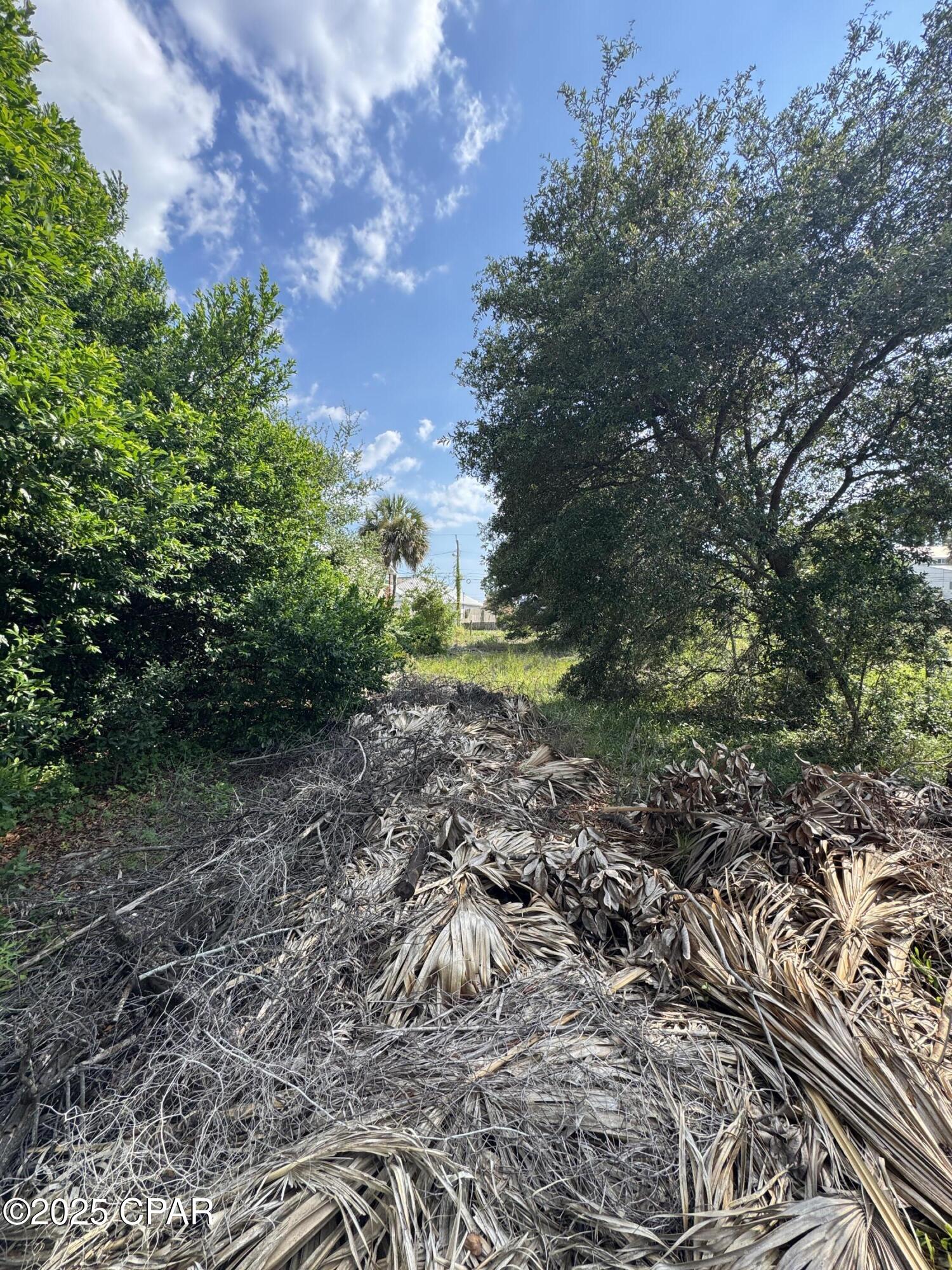 Baltimore Beach - Land