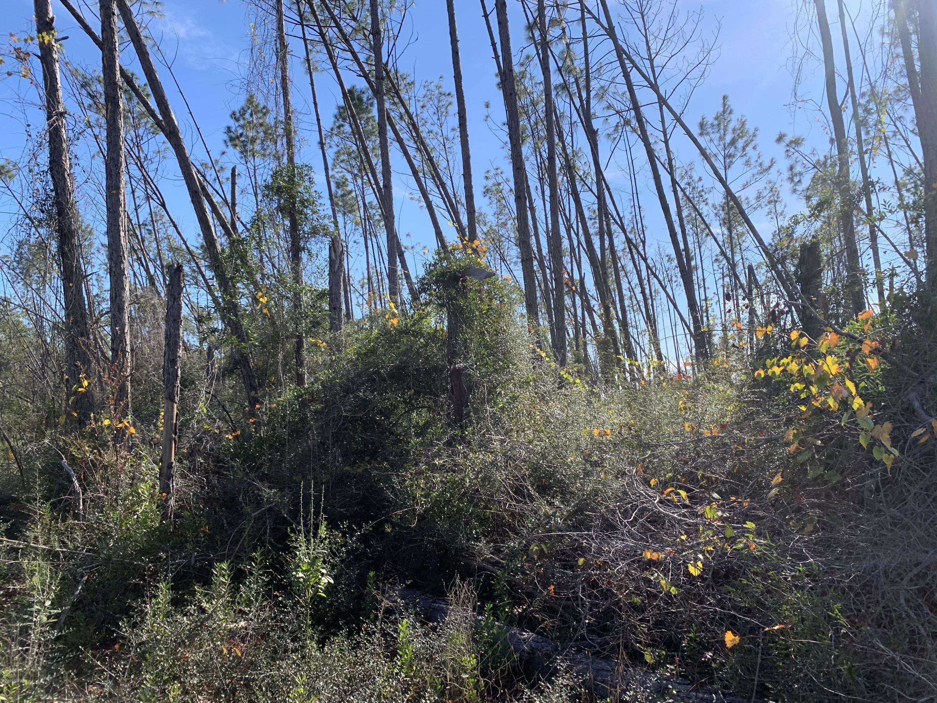 No Named Subdivision - Land