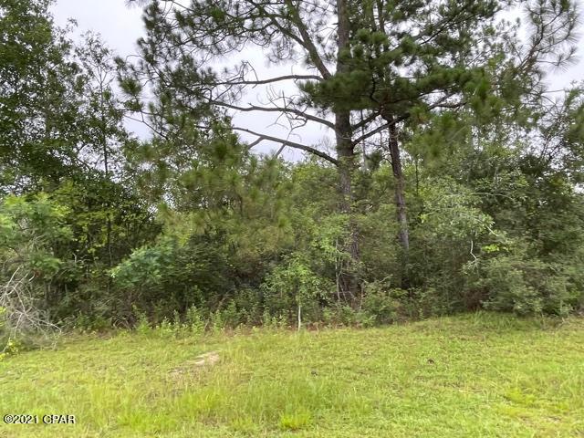 Compass Lake Hills Unit 5 - Land