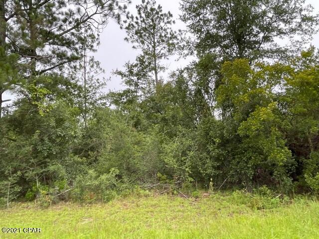 Compass Lake Hills Unit 5 - Land