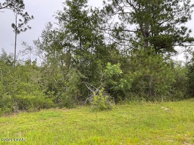 Compass Lake Hills Unit 5 - Land