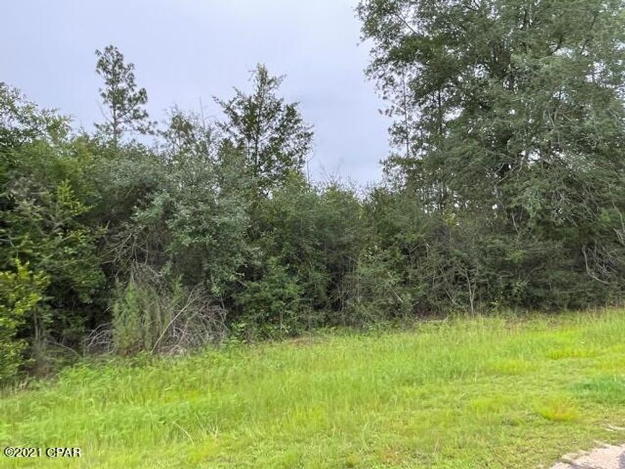 Nice wooded residential lot in beautiful Compass Lake in the Hills.  It is on a paved street and not far from the lodge.  CLH has numerous amenities for you to enjoy.   It is conveniently located with easy access to the south to Panama City on the Coast and north to Marianna for shopping.
