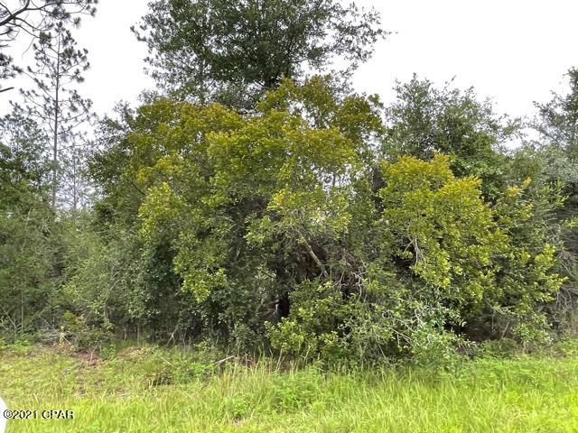 Compass Lake Hills Unit 5 - Land