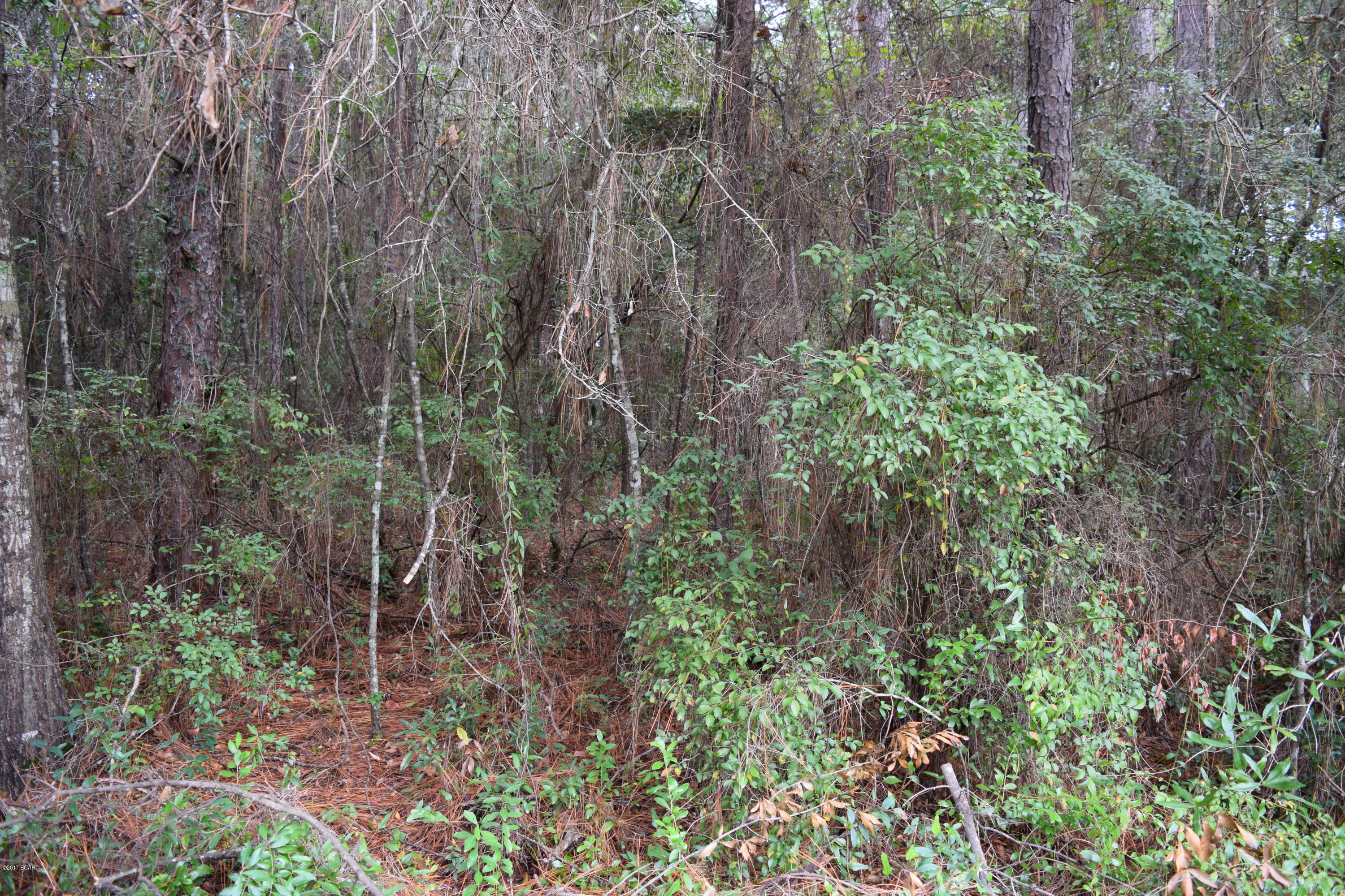 Oakwood Hills Unit 5 - Land