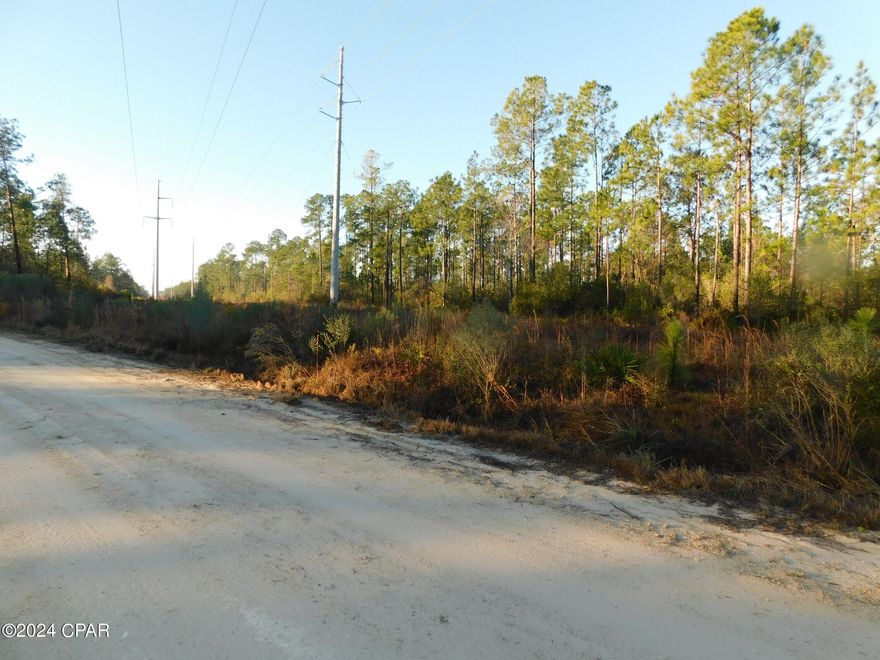 UNDER CONTRACT, ACCEPTING BACK OF OFFERS. 5 acres of partially cleared vacant land  offered as is.  The there is power line easement going through the middle of the lot which will limit the its use.