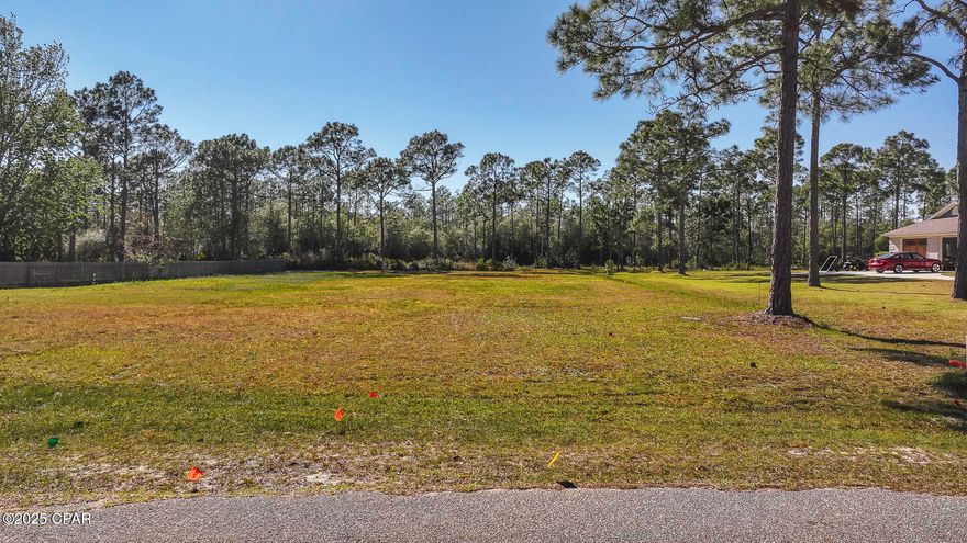AVIATION ENTHUSIASTS! Premier Aviation-Focused Property. This exceptional lot in the serene Cape Plantation community presents the perfect canvas for your custom dream home. This homesite offers the ideal balance of peaceful residential living in a region known for its aviation-friendly atmosphere, clear coastal skies, and breathtaking aerial views of pristine shorelines of Port St. Joe, a hidden gem along Florida's Forgotten Coast. The tranquil Cape Plantation subdivision positions you just minutes from the sparkling waters of St. Joseph Bay, uncrowded sugar-white beaches of Cape San Blas, diverse shopping and dining experiences in the charming downtown, and a well-maintained golf course just down the street. Port St. Joe exemplifies the best of coastal living with its small-town charm, friendly community, and abundance of outdoor activities including excellent fishing, boating, and water sports, complemented by stunning state parks and nature preserves that are even more magnificent when viewed from above. This rare opportunity combines the aviation lifestyle you desire with the coastal paradise you deserve.  Call for your private tour of the area and come to LIVE THE BEACH LIFE!