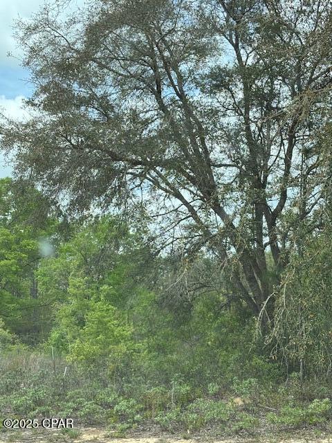 Sunny Hills Unit 8 - Land