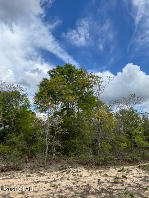 Sunny Hills Unit 8 - Land