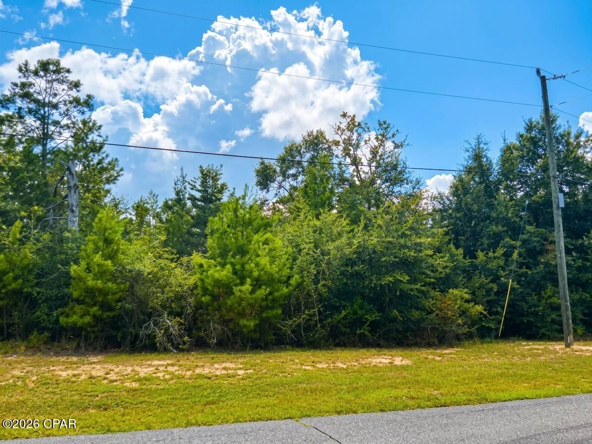 Lot 52 Shenandoah Boulevard