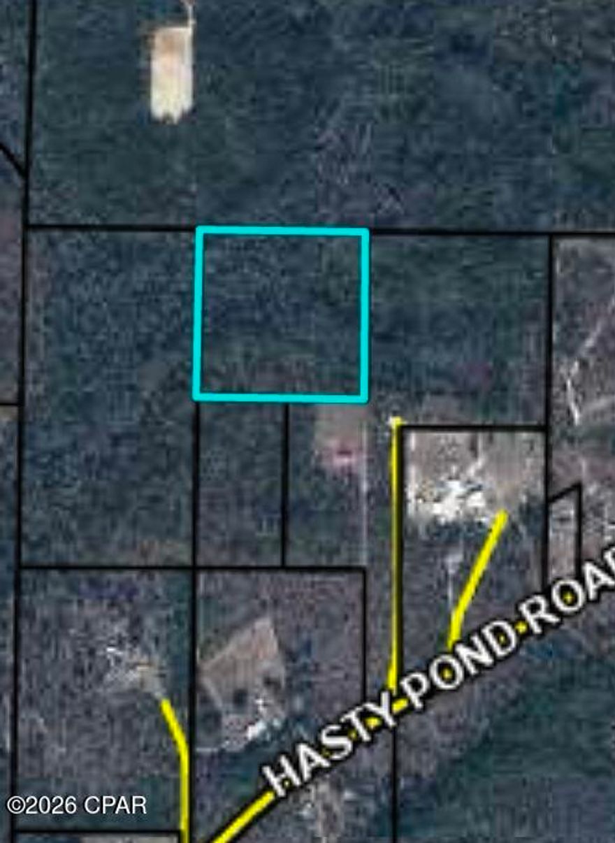 Discover the possibilities with this beautiful 10-acre wooded tract offering excellent hunting potential and the perfect blend of privacy and convenience. Located off Hasty Pond Road, this property provides a peaceful country setting while still being just one hour north of Panama City and the 'World's Most Beautiful Beaches.' Whether you're looking to build your dream home, create a private weekend retreat, or enjoy your own secluded getaway, this property offers endless opportunities. Don't miss your chance to own a slice of quiet country living.