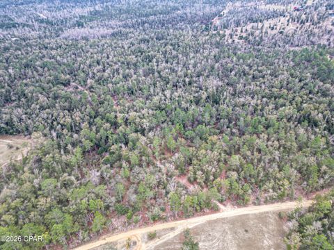 3340 Varsey Lane Marianna FL 32448