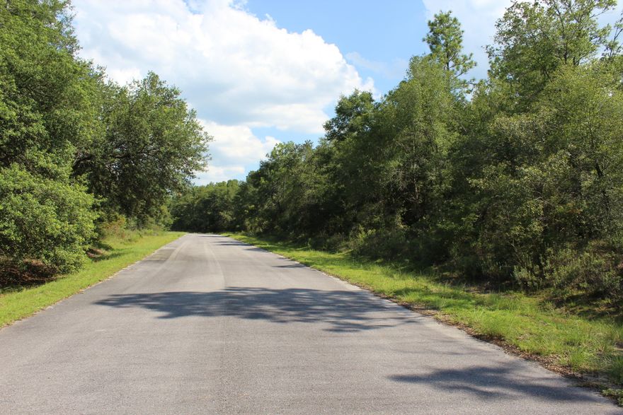 Pretty wooded parcel for your home and on paved road with underground utilities.  Easy access to town, schools, the Beach and the local lakes.  Go take a look, we won't mind.  Two Lots included with this sale.