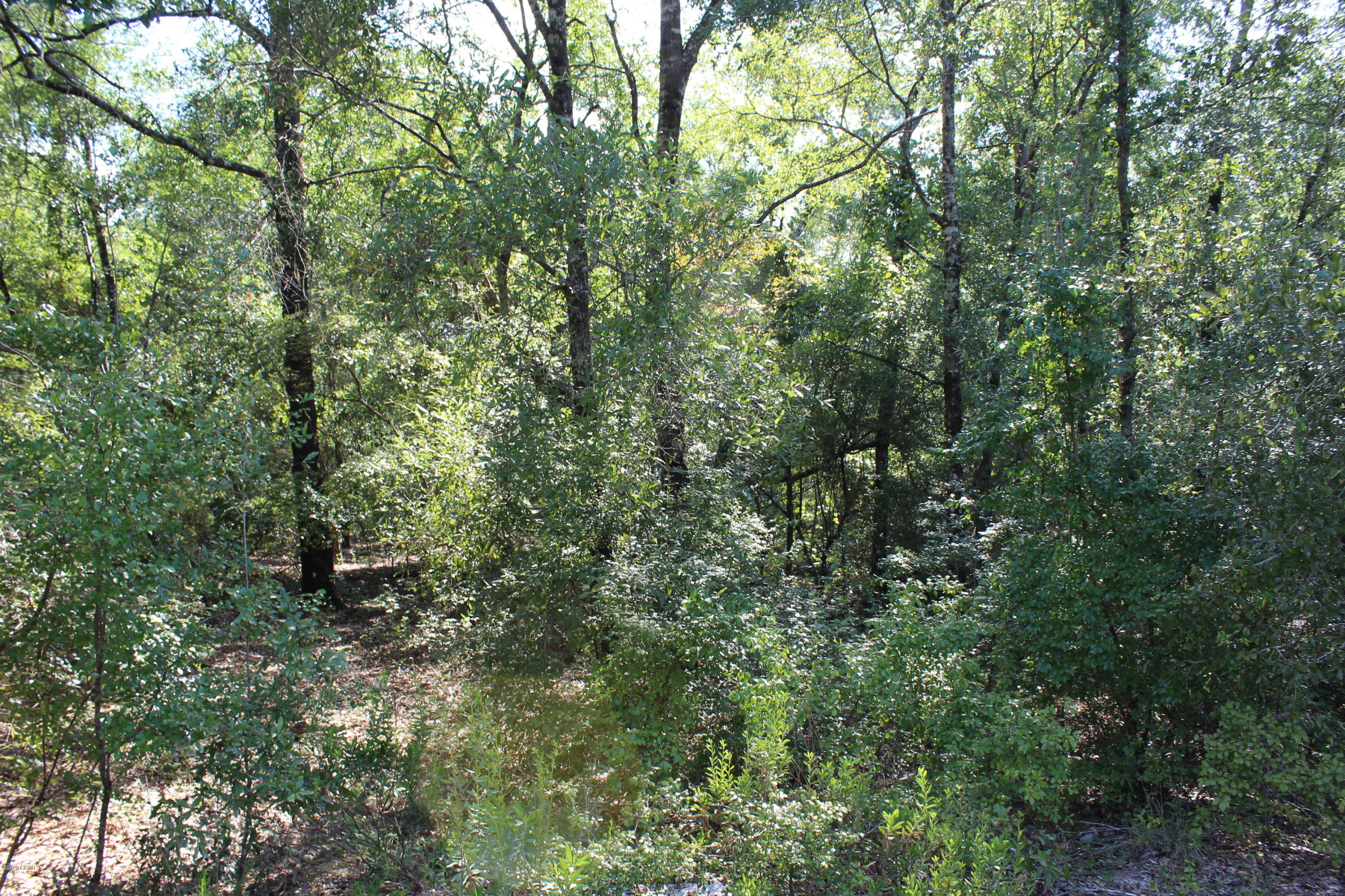 Village Of Spanish Lakes - Land