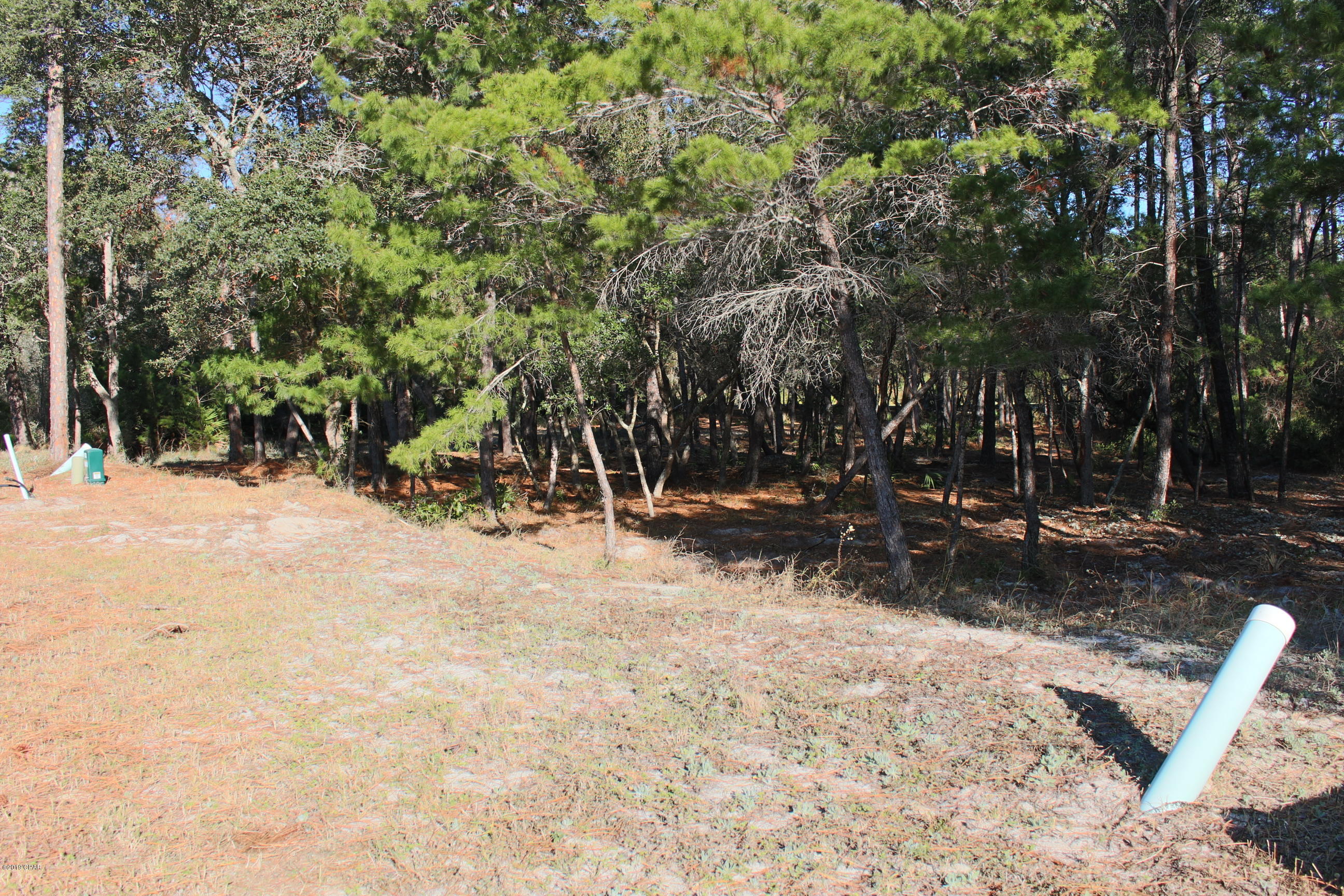 Wild Heron Phase VI - Land