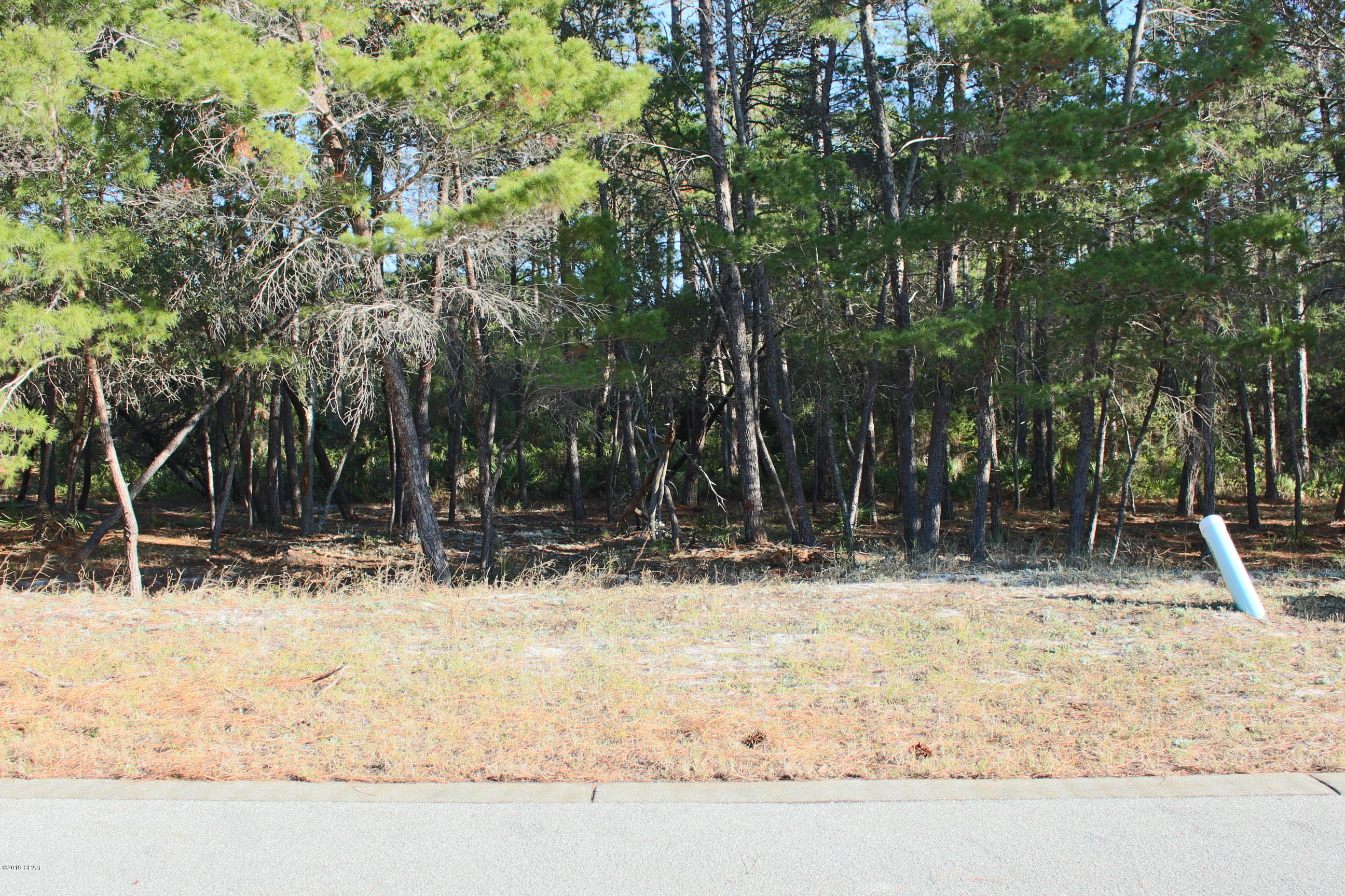 Wild Heron Phase VI - Land