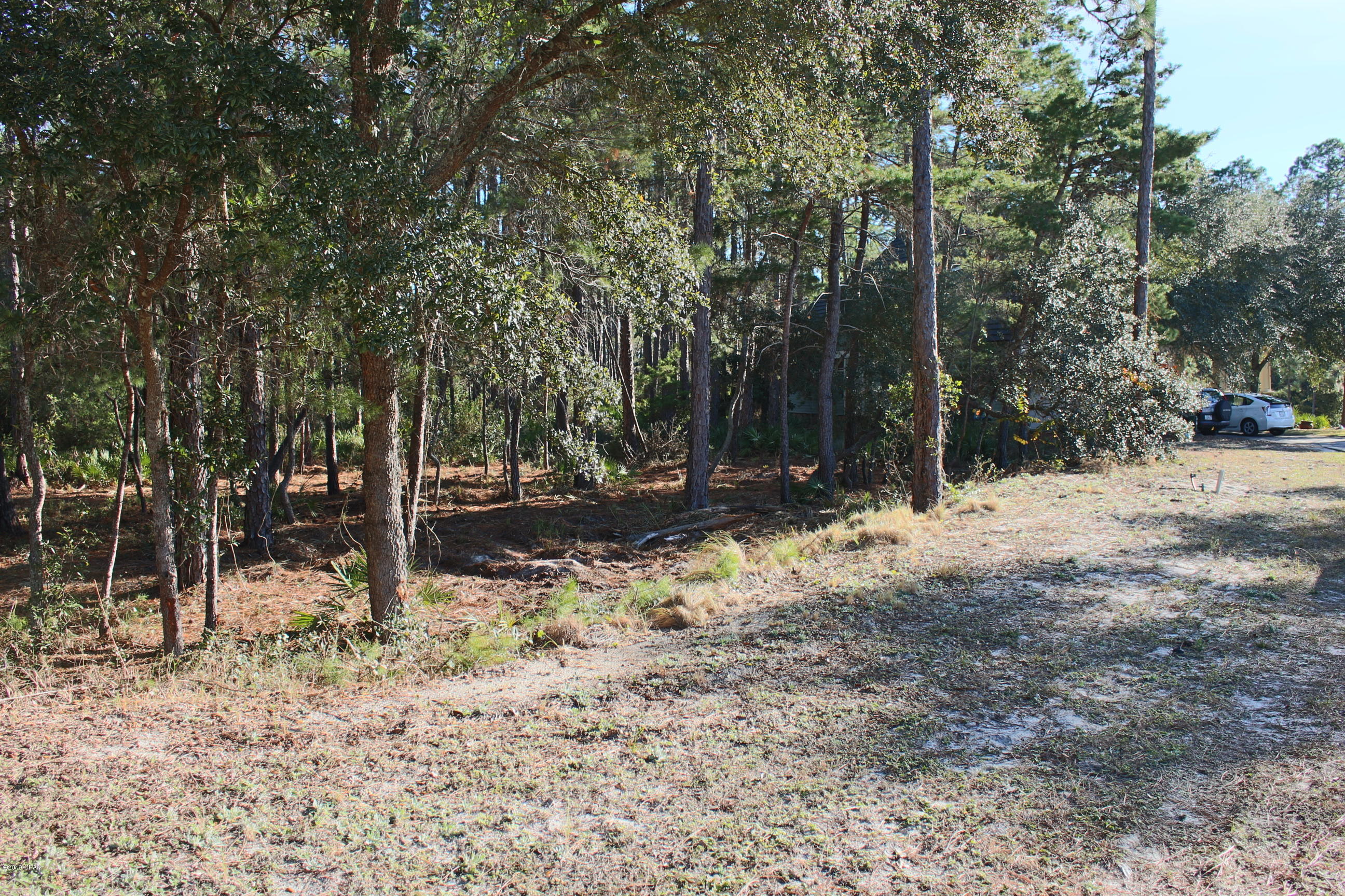 Wild Heron Phase VI - Land