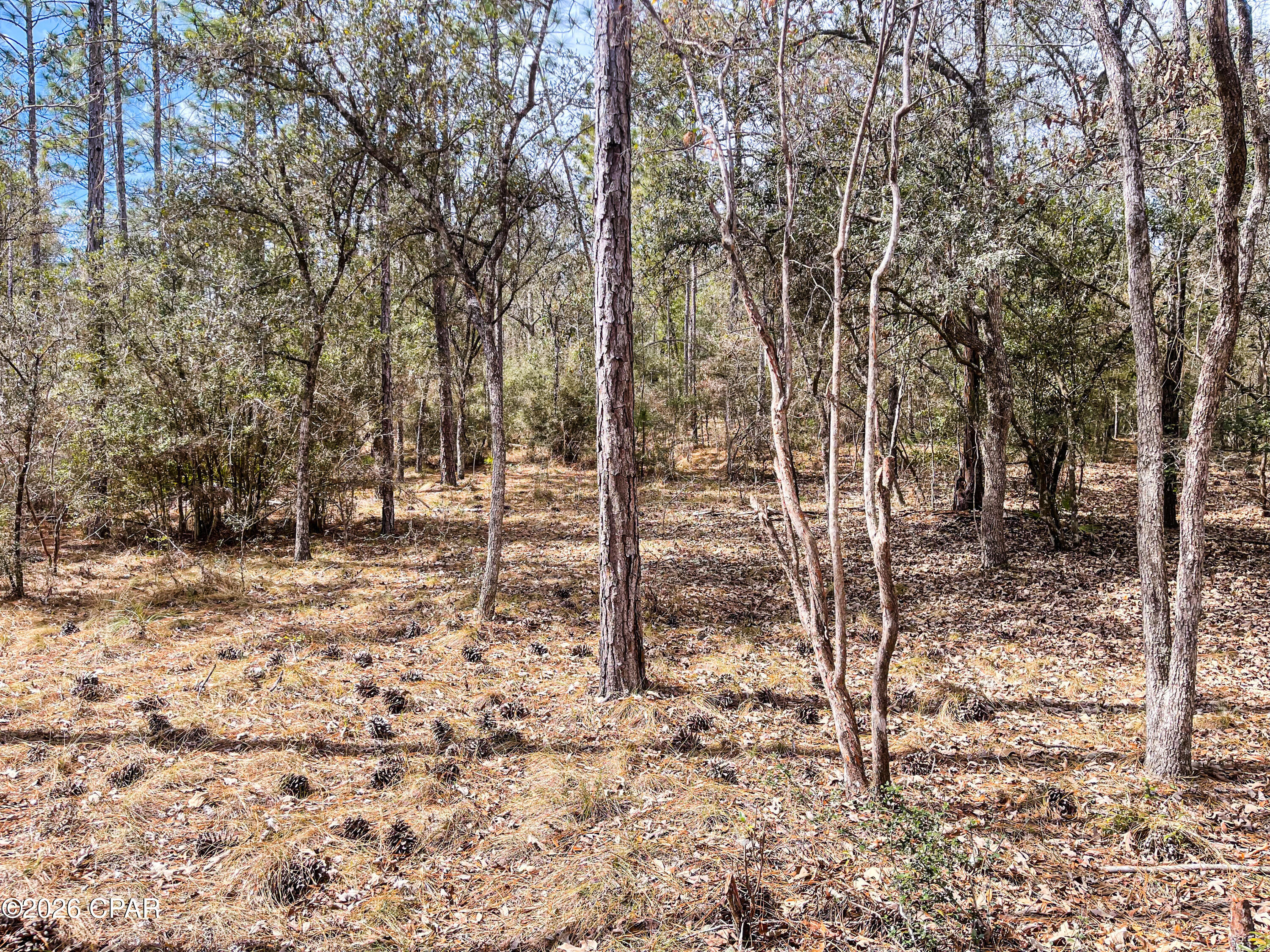 [No Recorded Subdiv] - Land