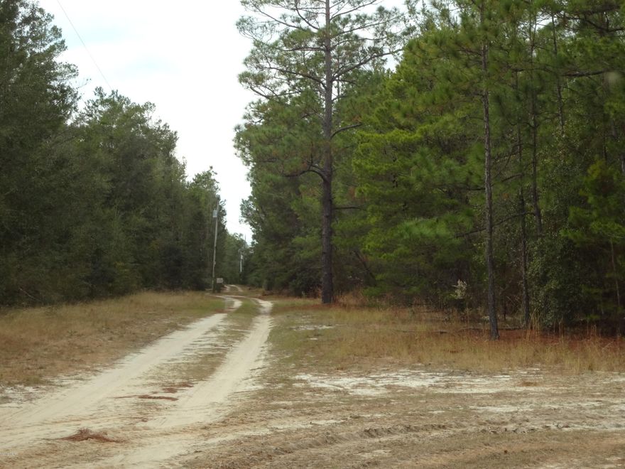 Get out in the Country! Total of 4 quarter acre lots and one 35 acre parcel remaining. Otter Creek is a beautiful secluded area with boat ramps for enjoying the creek. Near Pine Log State Forest, NWF International Airport and Choctawatchee Bay