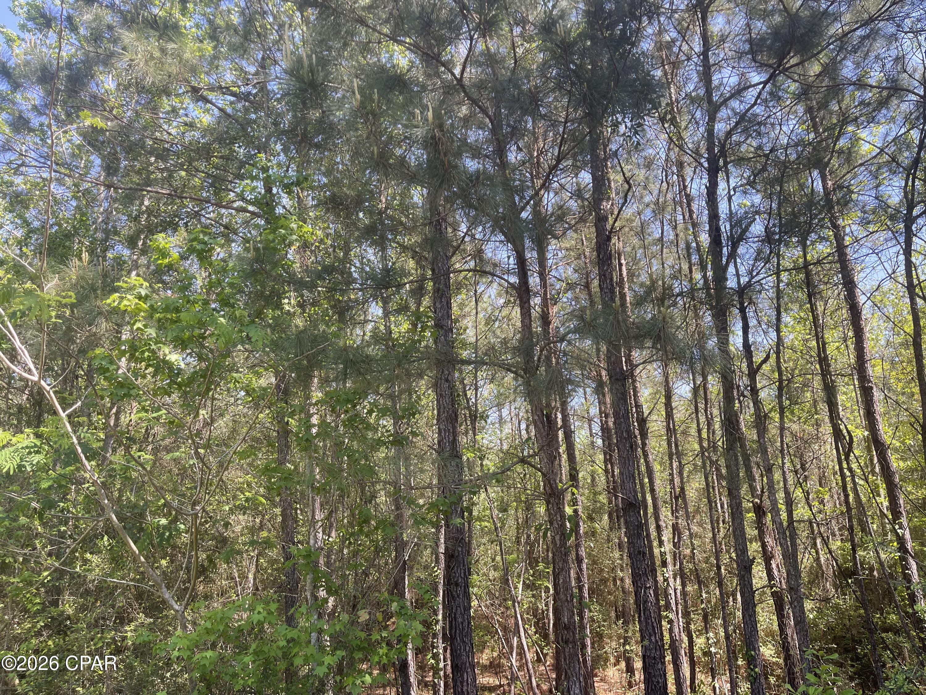 [No Recorded Subdiv] - Land