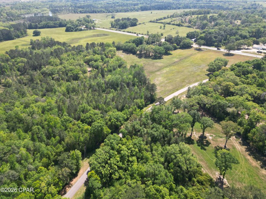 Escape to your own slice of Northwest Florida countryside with this beautiful 31.5± acre wooded retreat, ideally located near the corner of Highway 181 and Highway 162 in Holmes County. Tucked away in a peaceful rural setting, this expansive property offers the perfect blend of privacy, natural beauty, and convenient access to nearby amenities.
A stunning mix of mature oaks and native Florida pines creates a picturesque landscape filled with shade, character, and timeless Southern charm. Whether you envision building your dream home beneath the oaks, creating a weekend getaway, establishing a hunting camp, or designing a multi-generational family compound, this versatile property provides the freedom to bring your vision to life.
One of the property's standout features is its paved road frontage, providing excellent accessibility, and added convenience for future improvements. Whether you're planning a private homestead, separate homesites for family, or agricultural use, the paved access enhances both functionality and long-term value.
With no deed restrictions, you have the flexibility to truly create your own lifestyle. The land is open to horses, cattle, and other farm animals--ideal for starting your own farm, homestead, or hobby ranch. There's plenty of room for barns, gardens, trails, and wide-open pastures.
Nature lovers and outdoor enthusiasts will appreciate the abundant wildlife that calls this property home. Whitetail deer, wild turkeys, and other small game roam freely, making it an excellent recreational and hunting property.
Beyond the property lines, you'll find easy access to a wide range of outdoor adventures. Spend your weekends swimming, fishing, and boating in nearby lakes and creeks, or take a scenic 50-minute drive to Panama City Beach to enjoy the sugar-white sands and emerald waters of Florida's stunning Gulf Coast.
This is a rare opportunity to embrace a peaceful country lifestyle while remaining conveniently connected to local attractions and conveniences. Whether you're seeking solitude, recreation, or room to grow, this 31.5-acre Holmes County property offers the space, access, and freedom to make it your own.
Your Northwest Florida dream begins here.  Call today for a private showing.  Note:  Property is divided by Hwy 162 (North side of property has 2.5 +/- acres and the South side has 29 +/- acres.

Key Features:
*Private and Peaceful
*Highway Frontage Near Corner of Hwy 81 and Hwy 162
*Abundant Wildlife
*Multiple Opportunities for Land Use
*Geneva, AL - 15 miles
*Dothan, AL - 40 miles