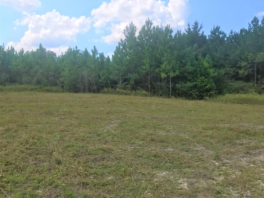 Great investment opportunity!  The options are endless on this 19 Acre parcel filled with beautiful planted pines.  This a perfect place to build a home, farm, or hunt. Located on Douglas Ferry Road and consisting of more then  660 hwy frontage.