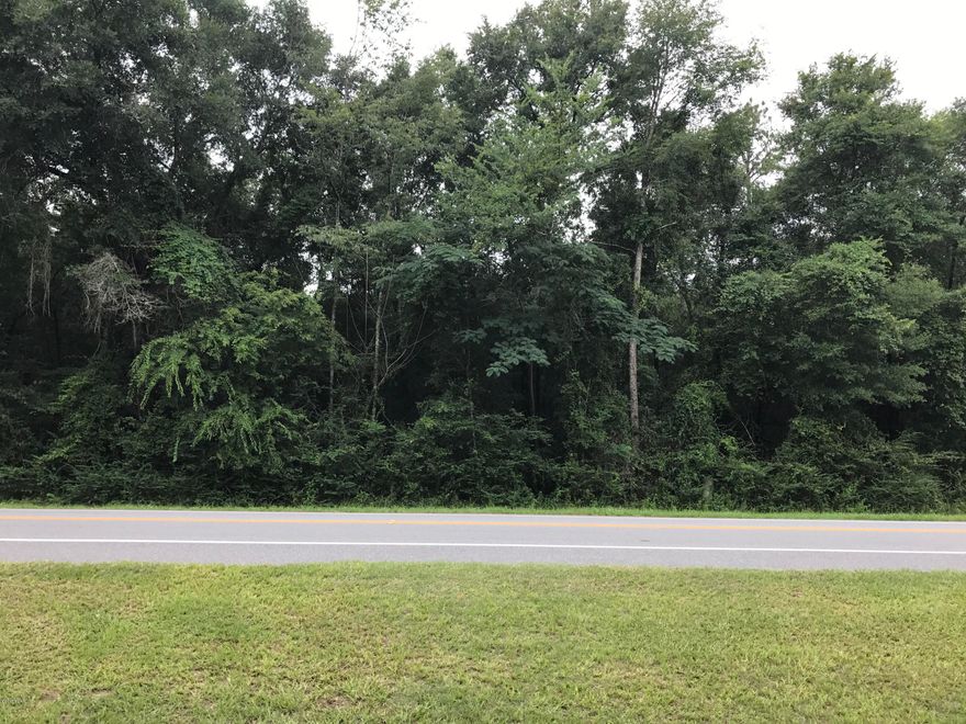 Just Reduced!!! Nice 2.9 Acre wooded lot perfect to build your dream home!  Close to the town of Greenwood and in the Marianna School District.  Nice thick foliage on the front and sparse in the middle which makes for easy clearing for a perfect home site.  Drive by and take a look today!