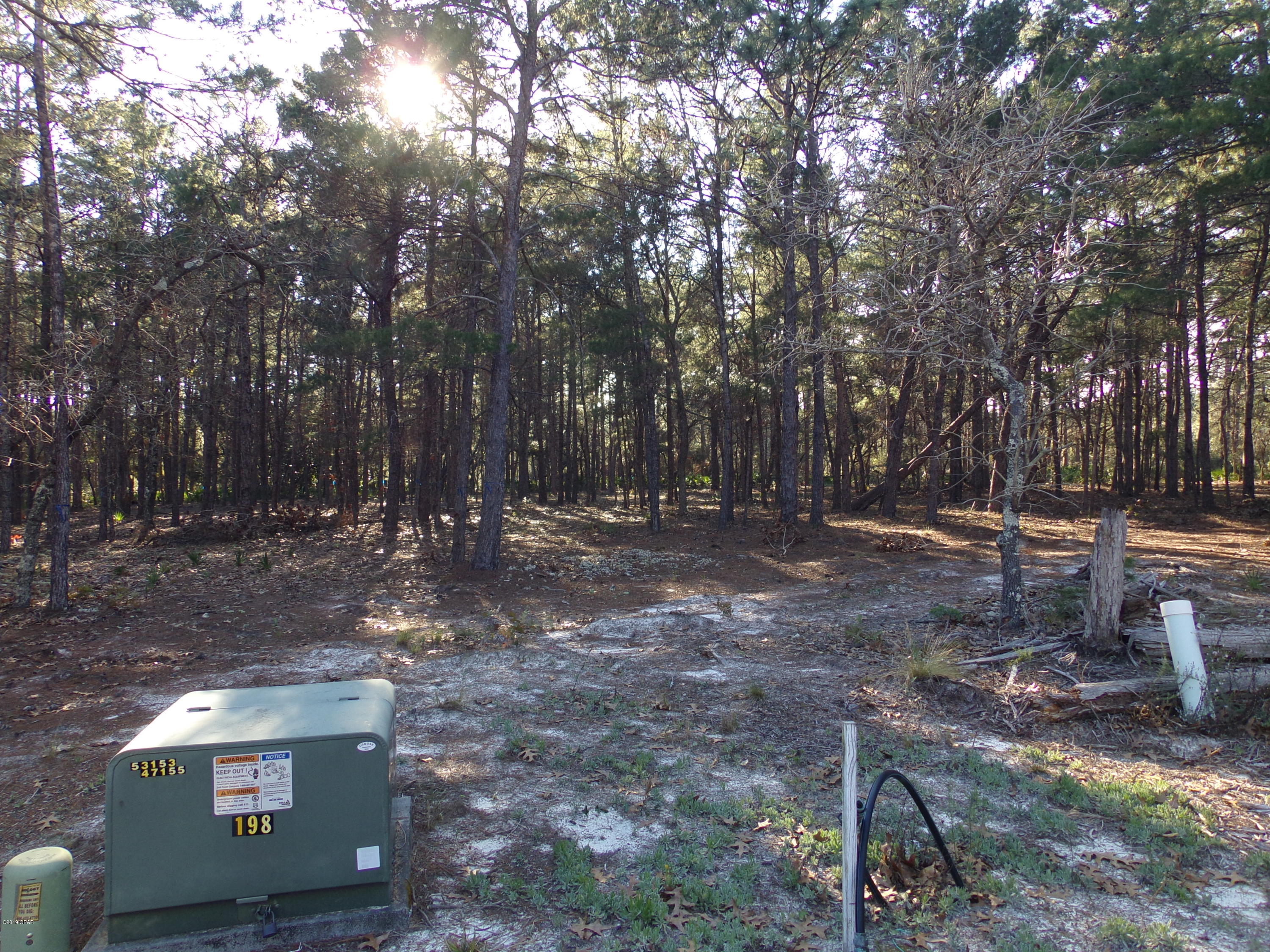 Wild Heron Phase X - Land