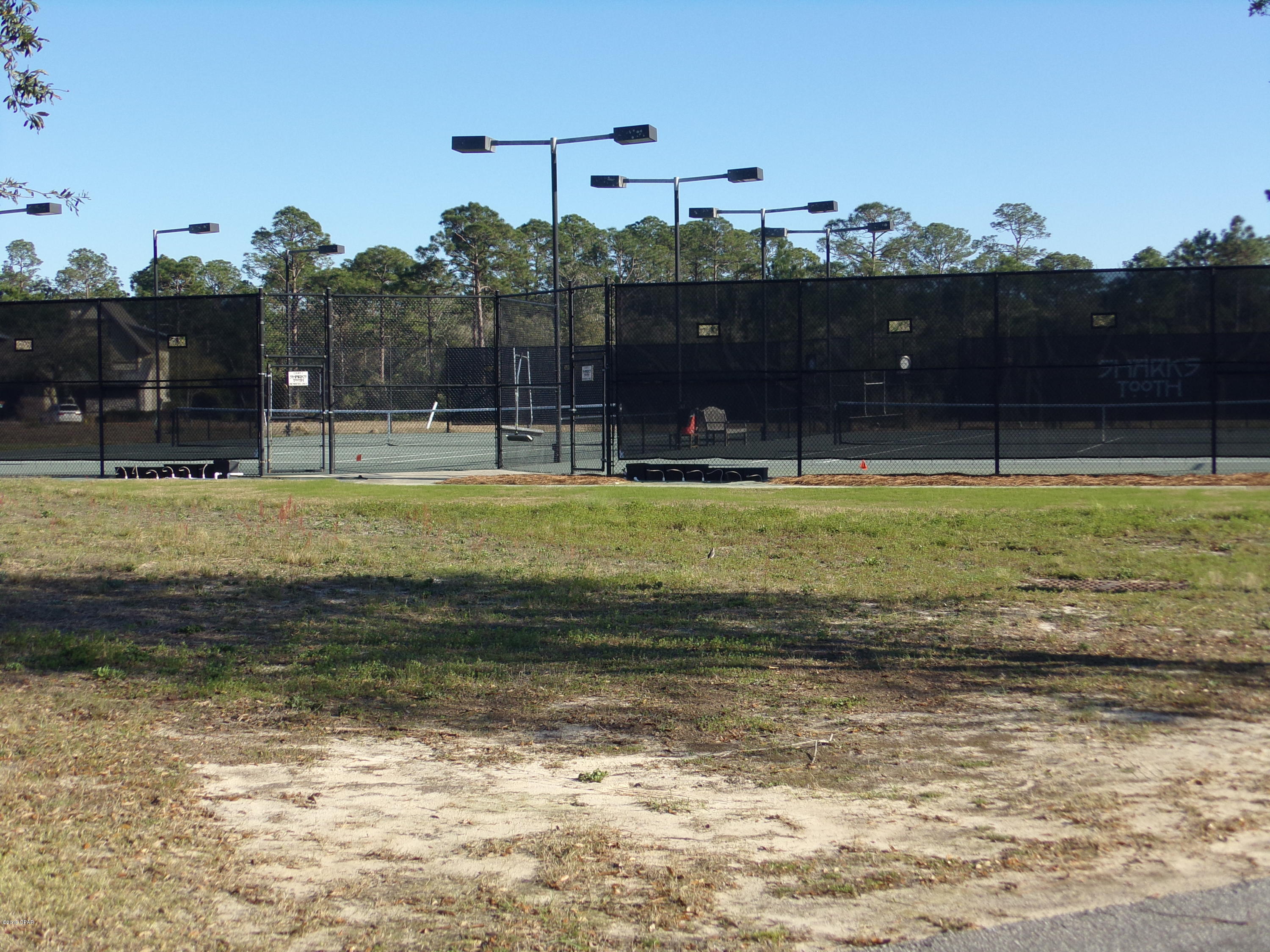 Wild Heron Phase X - Land