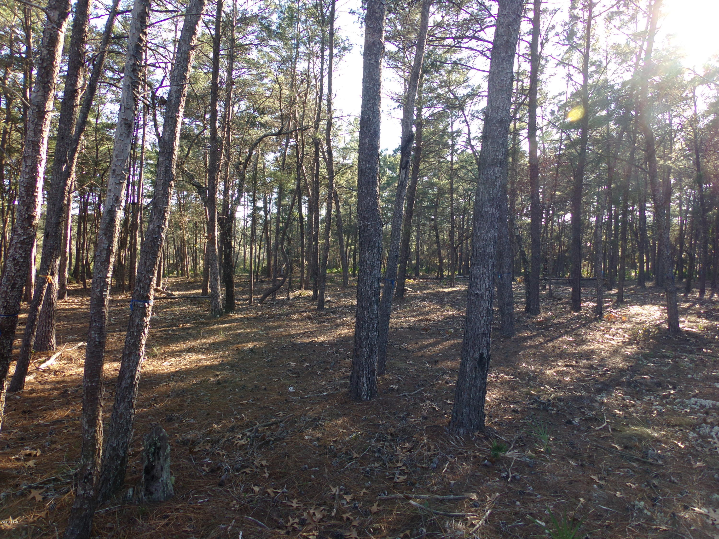 Wild Heron Phase X - Land