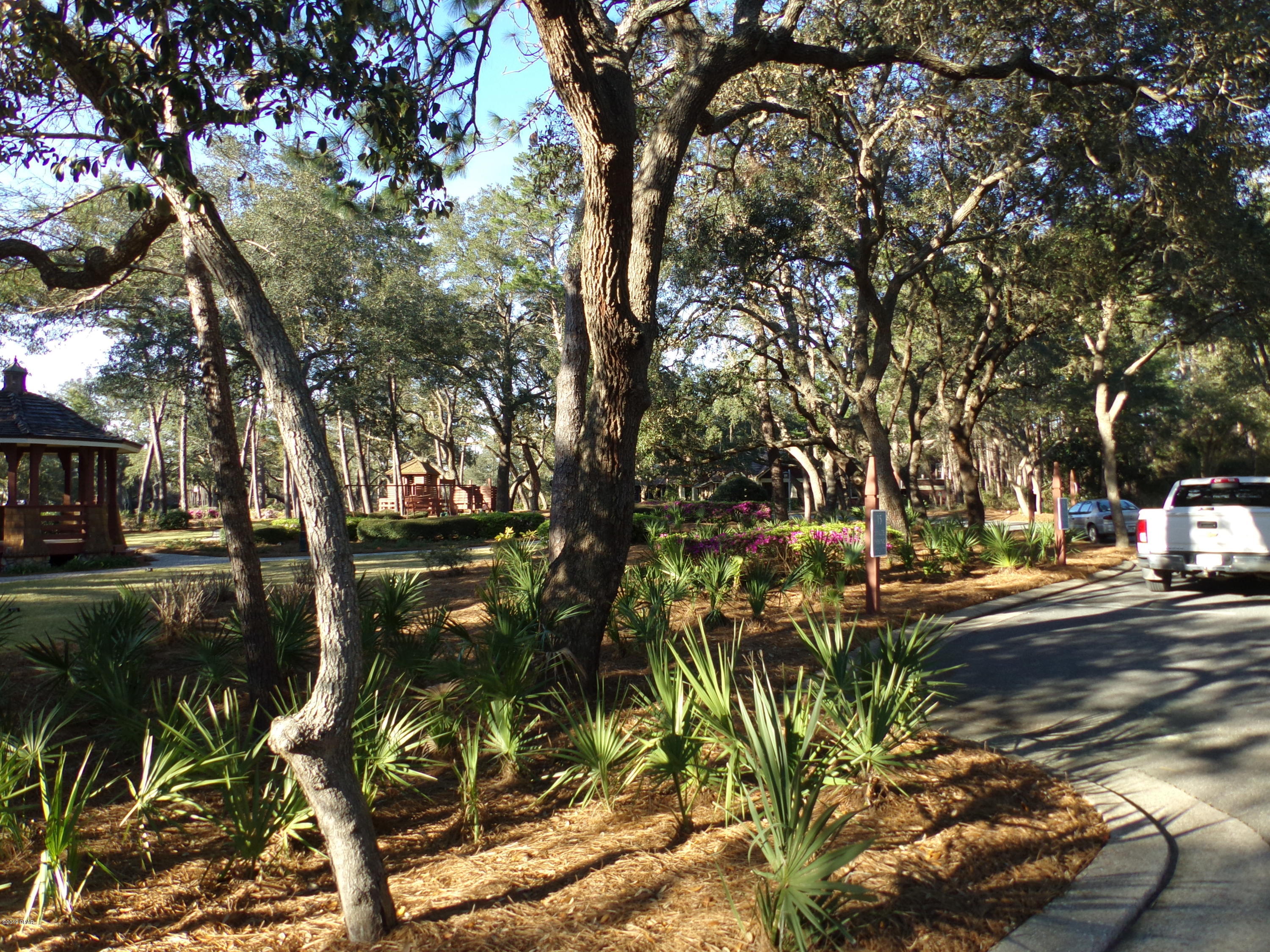 Wild Heron Phase X - Land