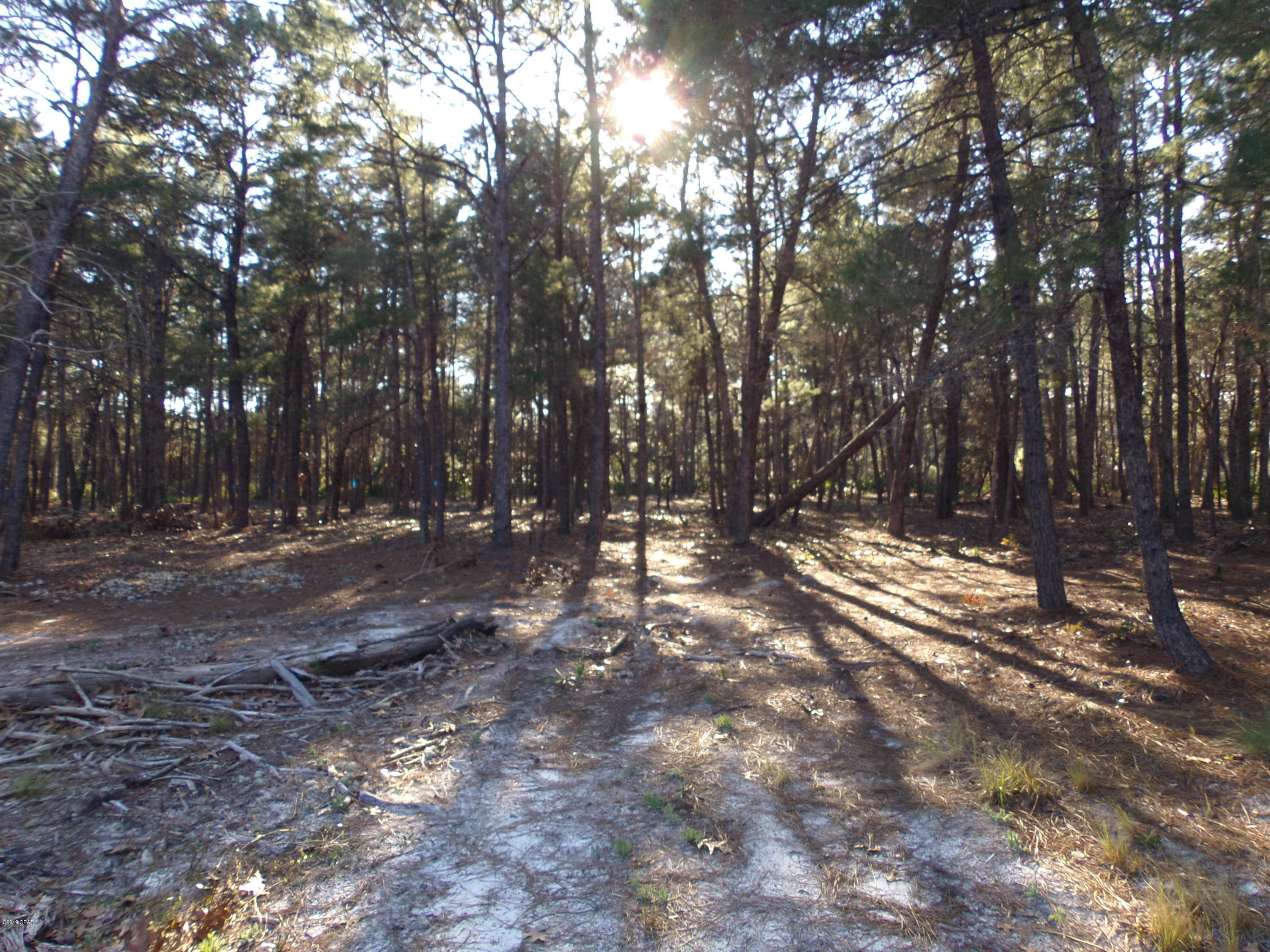 Wild Heron Phase X - Land