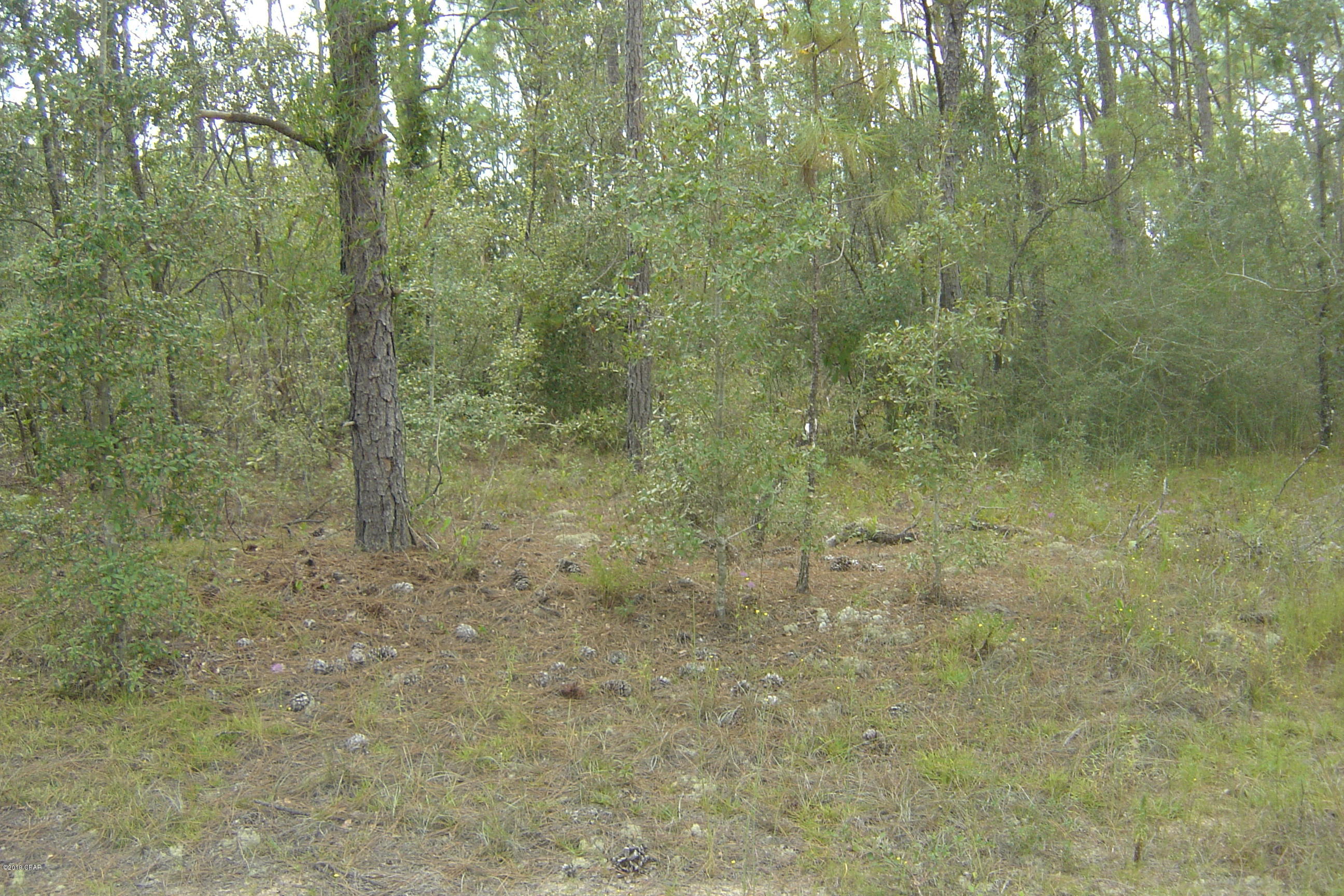 Compass Lake Hills Unit 6 - Land