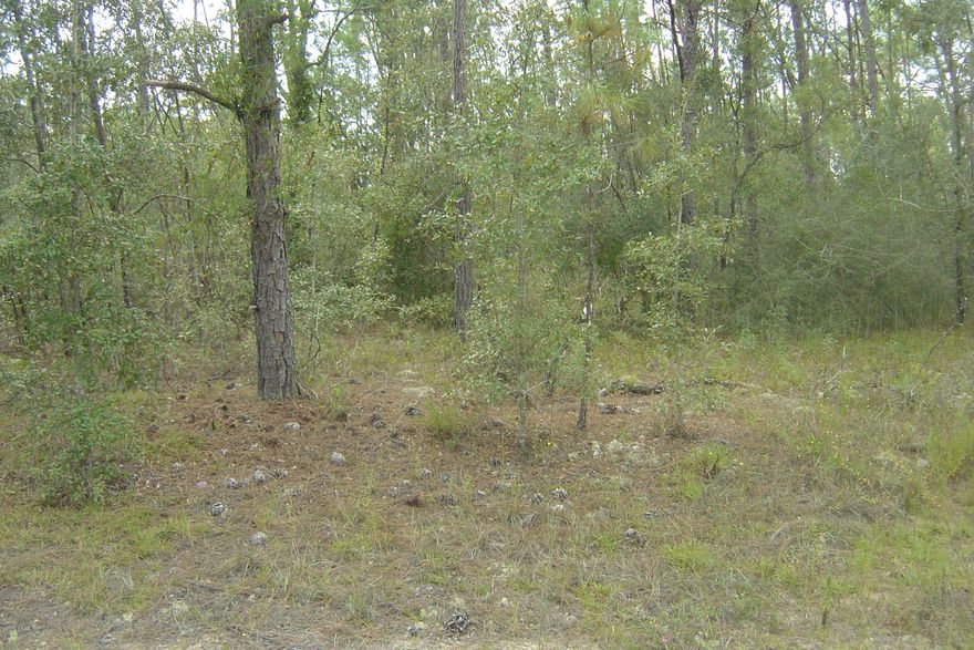 Nice Compass Lake in the Hills lot with all the amenities of CLH with access to two large fresh water lakes (Compass and McCormick).  No gasoline engines are allowed on McCormick.  Beach area is on McCormick.  Swimming pool access is in the lodge area.