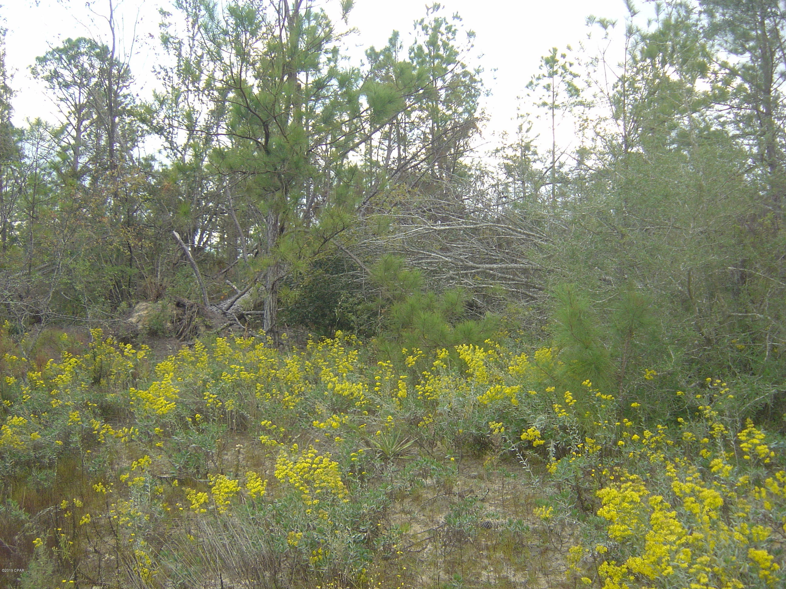 Compass Lake Hills Unit 6 - Land