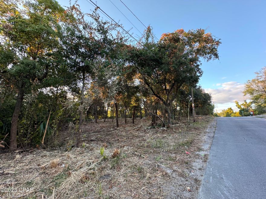 'Price Reduced' MU2 zoning. Walk to restaurants with live music, shops, a marina, a park and more.....Seize the opportunity to own a rare piece of land nestled at the water's edge, directly across from the serene Lake Ware followed by St Andrews Bay. This unique parcel, rich with potential, spans across nine subdivided lots, each measuring 66'x140' each. With its prime location at the cusp of the St. Andrews Historic District and just a stone's throw from Beck Ave (only 3 blocks away!), this land promises a blend of tranquility and convenience.

An environmental study highlights the property's diverse landscape, revealing a delicate balance of wetlands and dry terrain. The northeast corner has been specifically identified as buildable, offering a solid foundation for your vision. Attached, you'll find a multi-family rendering by a civil engineer, providing a glimpse into the property's potential.

Imagine the possibilities: from an elegant estate home, a charming boutique bed-and-breakfast, luxurious single-family residences, to multi-family units. Given its proximity to local hotspots, including marinas, parks, live-music restaurants, various shopping venues, and businesses, this locale is perfect for those who desire a vibrant lifestyle. Plus, with downtown Panama City just 2 miles away, urban amenities are within easy reach.

Development is burgeoning in this neighborhood district marking it as an ideal spot for both living and investment. Whether you're drawn to the call of wildlife, the ripple of water, or the buzz of city life, this parcel invites you to create something remarkable.