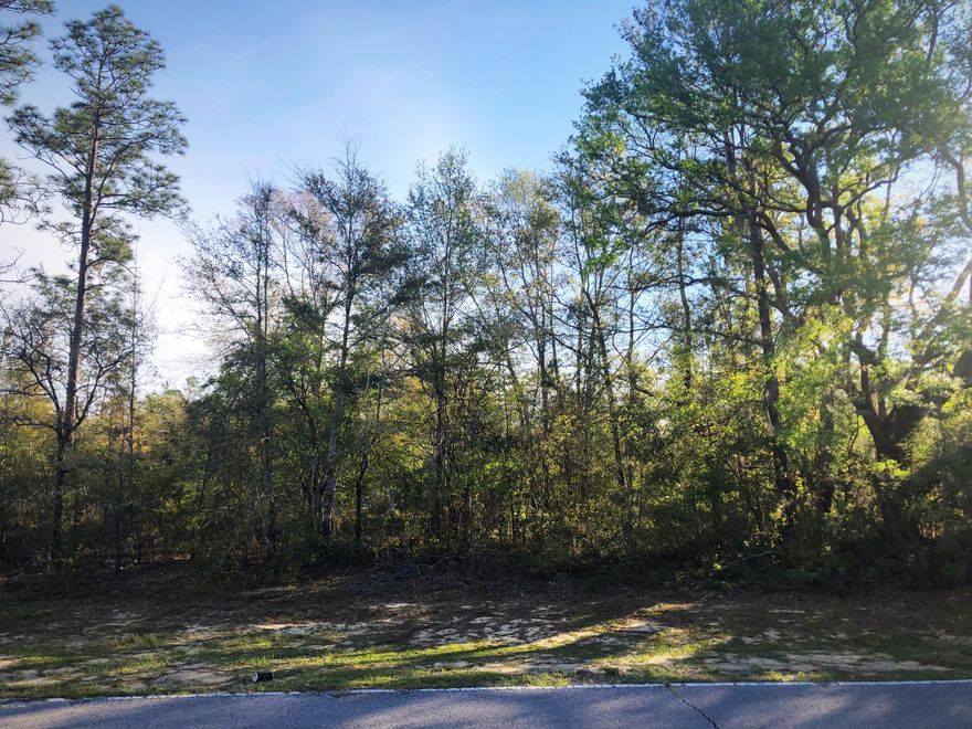 Convenient building lot in Sunny Hills. Lot is located less than a half mile off of Hwy 77 on one of the main Blvd's and not in a flood zone! Sunny Hills is home to the county's first golf course and 26 lakes/ponds, including crystal clear Gap Pond and the well-known Boat Lake. There are 5 boat landings in the community for the fishermen. Deed restricted, but there is no HOA fee that applies. No mobile homes. Enjoy the slower pace of life this area has to offer and significantly lower taxes! Washington County is among the top five counties in the state of Florida that have the lowest property taxes. This lot is only a 20 minute drive from Chipley or Bonifay and about 45 minutes from Panama City Beach. In between there are several gas stations, convenient stores, and mom-and-pop restaurants