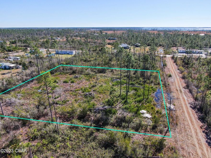 Looking for an acre of land just off the beaten path that's partially cleared with mature trees for privacy, but still room to grow? Have we the lot for you! Located off a peaceful natural road in the Sandy Creek area, you'll find this lovely homesite! It's time to create your very own homestead away from the hustle and bustle! No HOA means you have the freedom to create your own paradise just 6 minutes to grocery stores, a marina, Sandy Creek Airpark, County Club and more! Sellers love the location, but plans have changed so take advantage of the work they've already put in! A copy of recent survey is available on request! It's time to Buy Dirt!