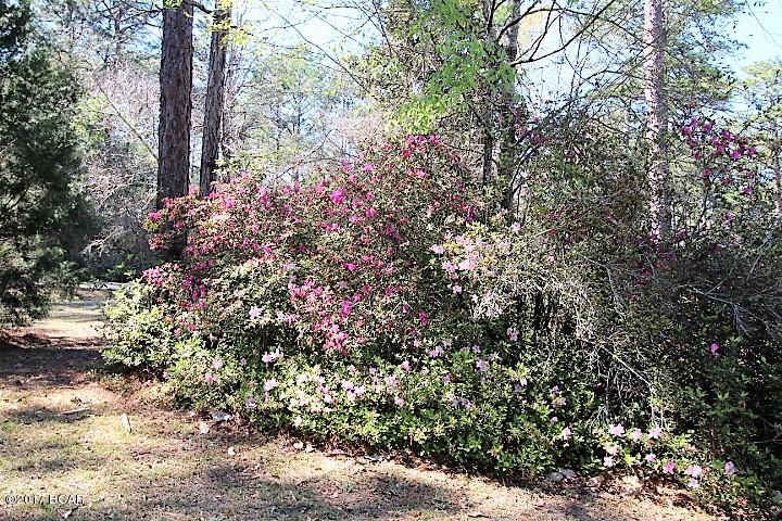 Pineview - Residential