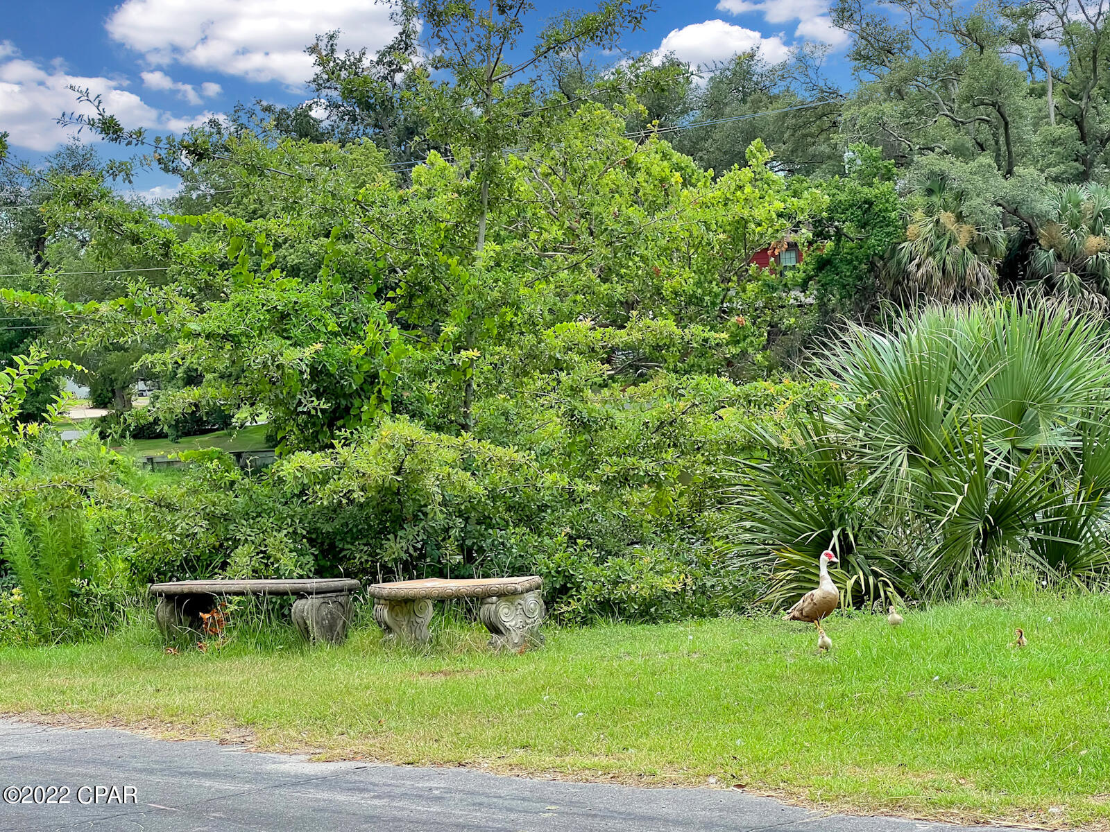 Bayside - Residential