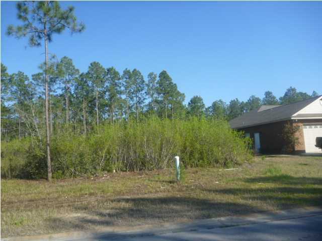 Camryn's Crossing - Land