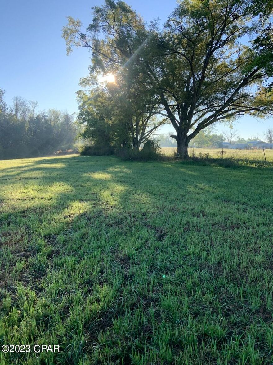 Beautiful spot to build your dream home. Remarkable Live oaks casting shade! Property nestled just off paved highway, just minutes to Altha and Marianna. Wet weather pond to increase privacy on east side of property. 4.5 +/- acre tract that will be taken out of larger parcel.  Set up your showing today!