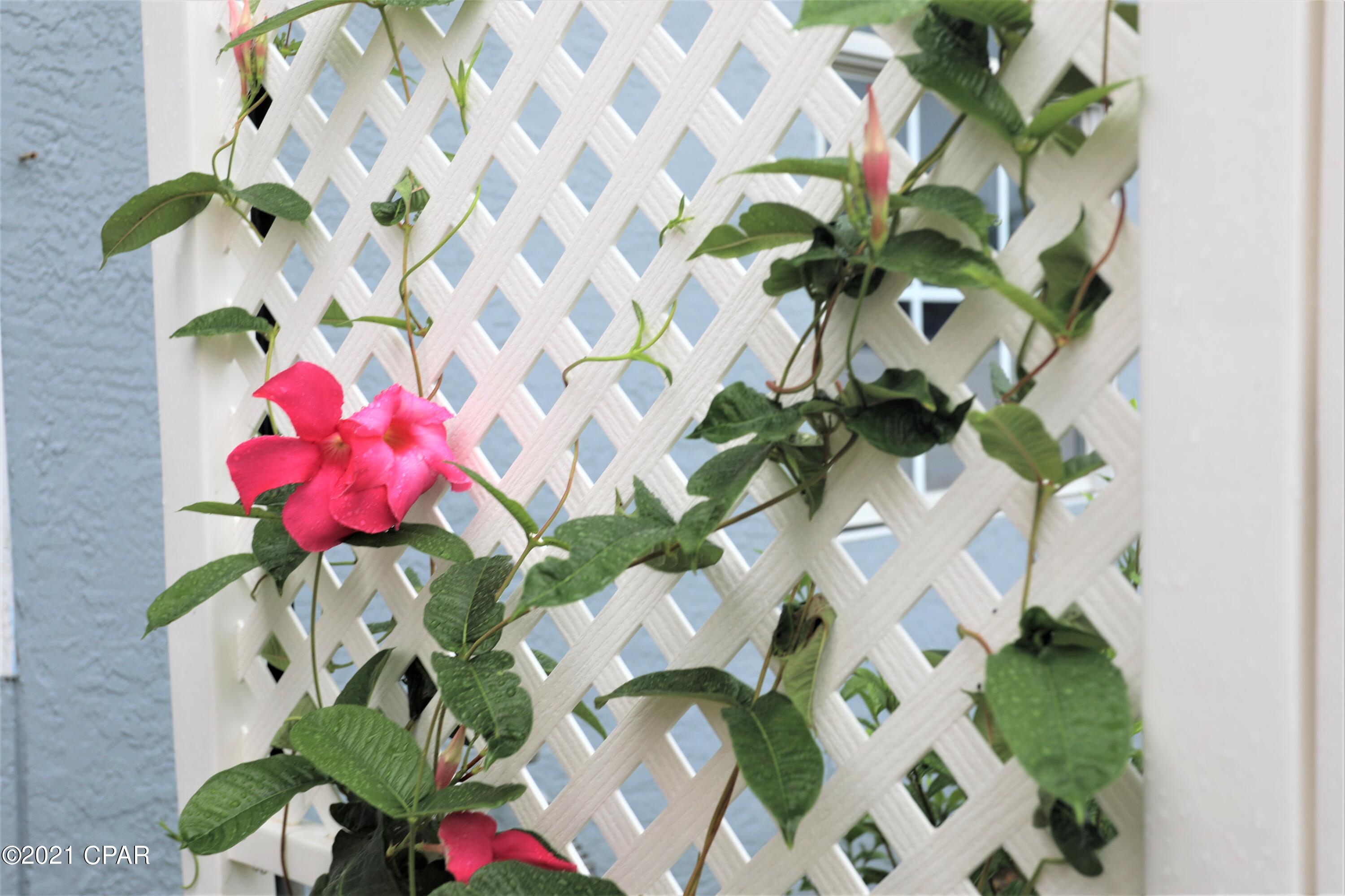 Summerwood Phase III - Residential