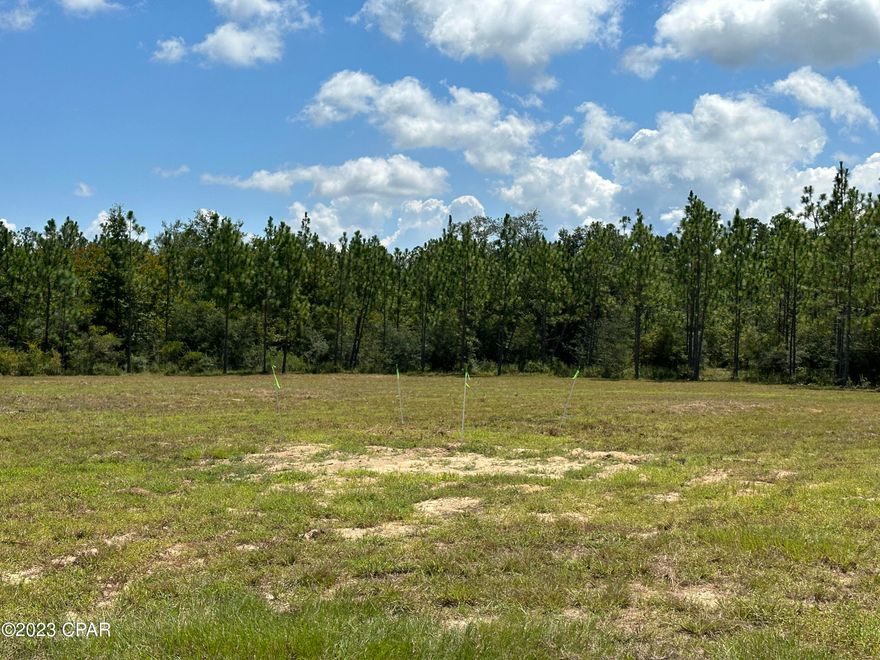 Twenty Five Acres that borders Nortek, Lincoln, Ocala, and Lily,  It is NOT a part of Compass Lake In the Hills.  It has a Deep Well with a 3HP Pump and 82 gallon tank,  septic tank, and Electricity.  This acreage is ready for your next adventure.   There is an old Survey on File and it states 25.21 +_ Ac with it being 24.31 +_ AC excluding R/W.   This is a MUST SEE!!!!!