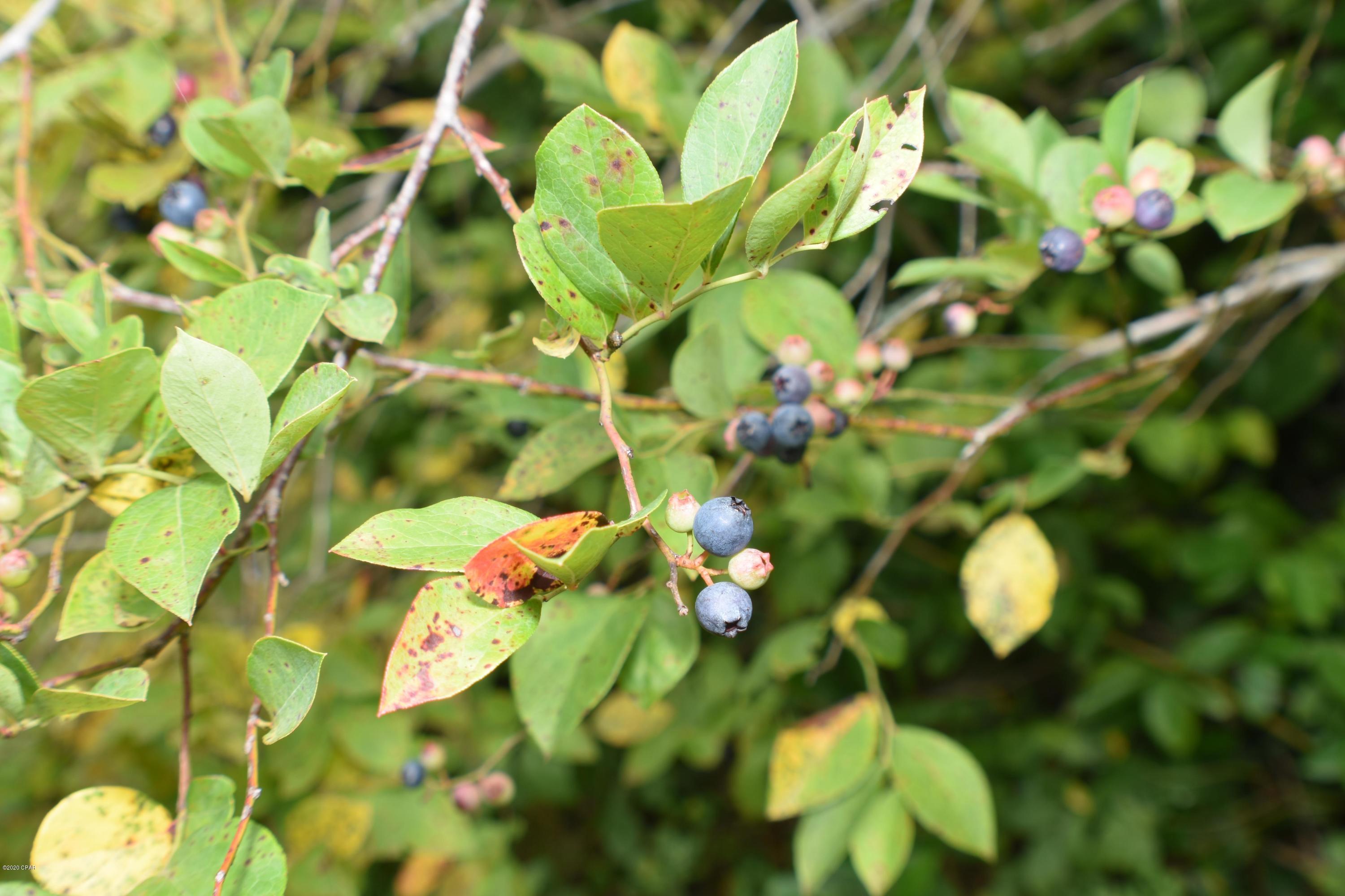 Bay County Estates Phase II - Residential