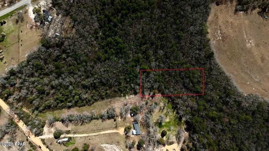 1.5 Acres of Country Serenity - Build Your Dream Home!

Discover the perfect blend of privacy and potential with this beautiful 1.5-acre vacant lot, nestled in the peaceful countryside. Whether you're looking to build your dream home, create a private getaway, or invest in land, this property offers endless possibilities.

Located just 35 miles from Ft. Novosel and a little over an hour from Panama City Beach, FL, you can enjoy both rural tranquility and easy access to city conveniences and coastal attractions.

Contact your agent for more information on this property!