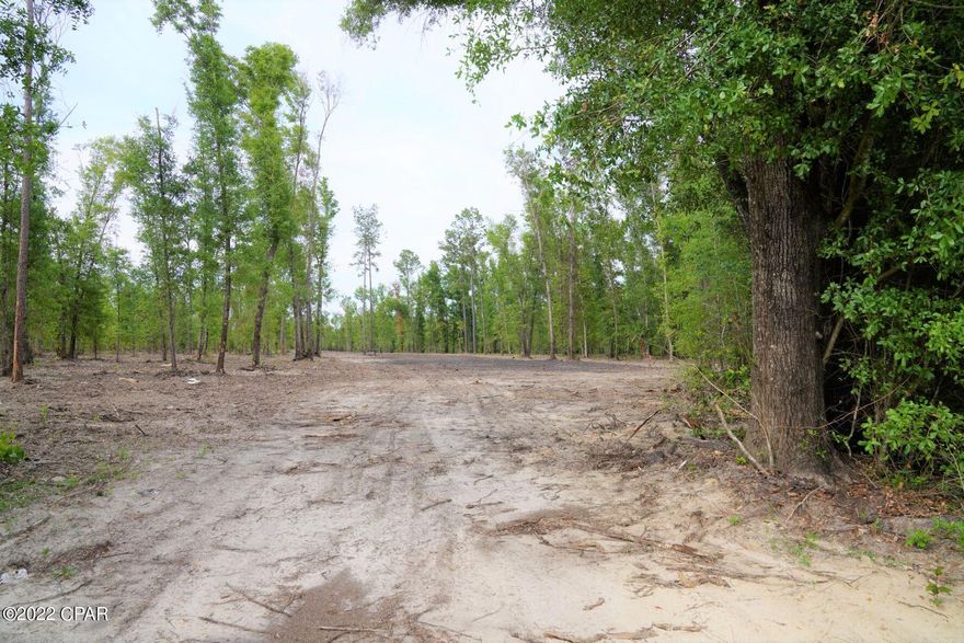 Under Contract but Seller will consider Back-up Offers.  15 Acres of Absolutely Stunning HIGH & DRY Land ready for a new developer!  Property is off Old Town even though shows as Hwy71 (property was split in probate). You can access the property on the dirt/sand road cut in and see the clearing that is in progress.  Boat ramp down the street for fishing. Currently there are homes on Old Town with as little of .25 acre (which would give a developer the ability to build 60 units, at .5 acre =30 units and even better.... an RV Park at .-08 = over 150) Gulf County allows RV usage with 10 acre minimum.... The possibilities are endless in an area that is crucially short in homes available and rental product.  Close to Panama City, Tyndall AFB, Mexico Beach, and Port St Joe.... This is a must see today as acreage like this is hard to come by!