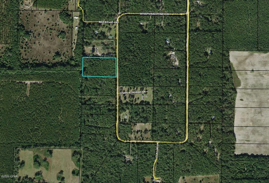 5 acre lot located between Greenwood FL and the world famous TWO EGG FL.  Perfect for someone that appreciates privacy yet not too far out.  Build your dream home, or bring your Manufactured Home.