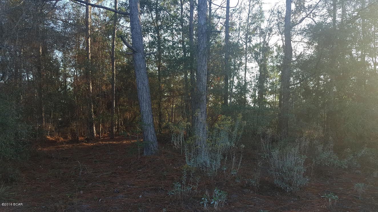 Sunny Hills - Residential